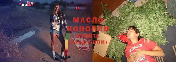тгк Михайловск