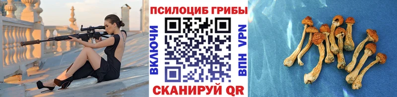 кракен tor  Горбатов  Псилоцибиновые грибы Psilocybine cubensis  хочу  